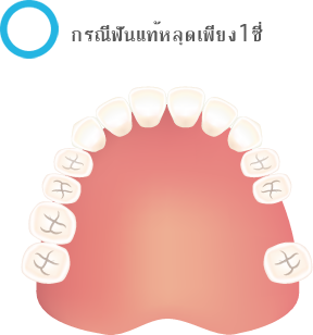 teeth
